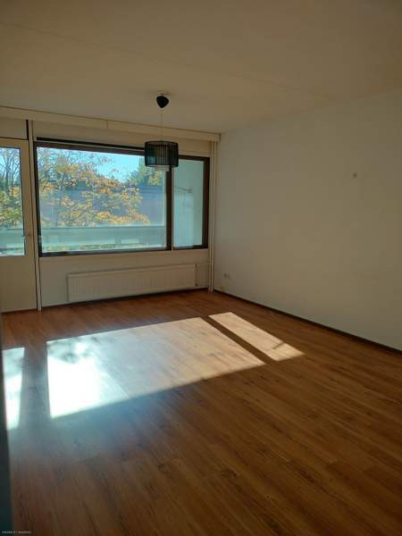 2+k + p  Jaervenpaeae - photo 1