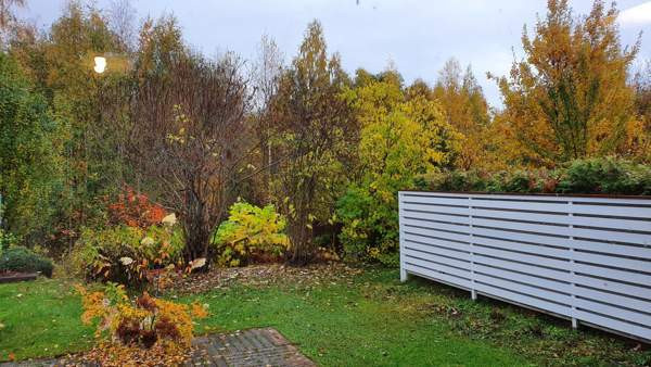 2h +k+ s  Muurame - photo 3