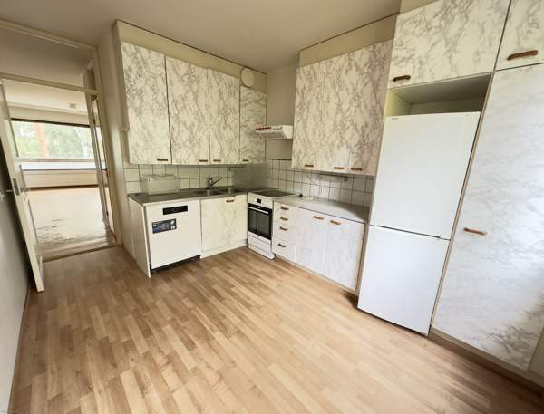 3h + k  Helsinki - photo 4