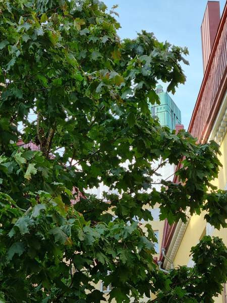 1h + kk  Helsinki - изображение 5