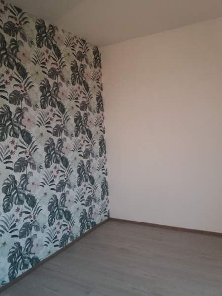 2h + p  Hartola - valokuva 3