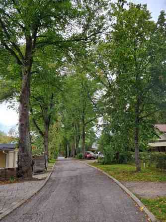 5 huonetta, ruokailutila, sauna, kylpyhuone, 2 x W  Helsinki