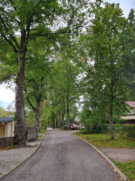 5 huonetta, ruokailutila, sauna, kylpyhuone, 2 x W  Helsinki – foto 5