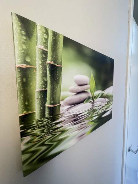 4h + p  Savonlinna - valokuva 5