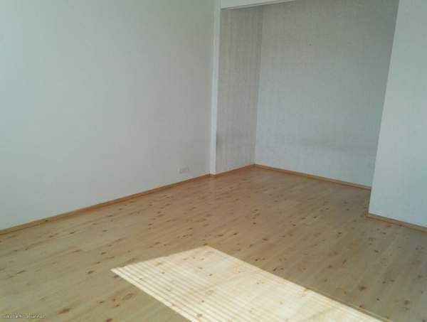 1h + p  Viitasaari - изображение 3