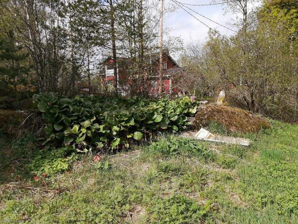 3h + s  Vähäkyrö - valokuva 4