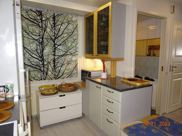 3h + avokeittiö + kh-sauna + terassipiha  Helsinki - valokuva 8