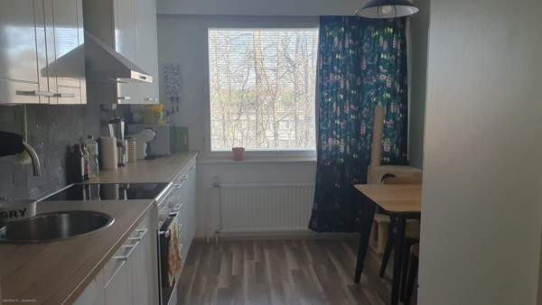 2h + k + p  Glebychevo - valokuva 2