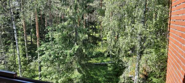 2h + p  Kouvola – foto 7