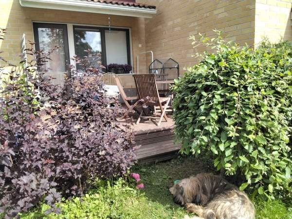 2h + avok + s  Kuopio - photo 3