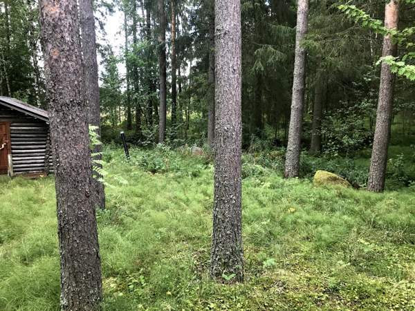 2h + s  Nivala - valokuva 7