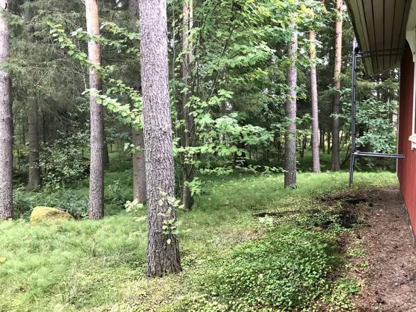 2h + s  Nivala - valokuva 6