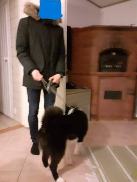 6h + s  Hyrynsalmi - valokuva 8