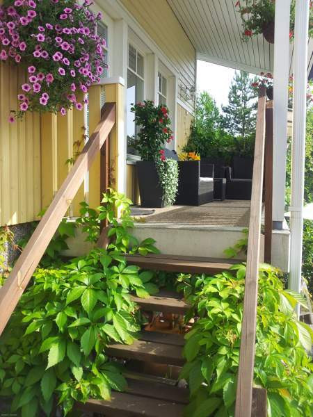 4h + s + p + at  Ювяскюля - изображение 7