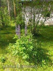 00000  Pudasjärvi - valokuva 4