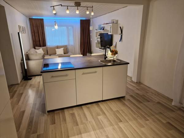 4h  Soini – foto 2