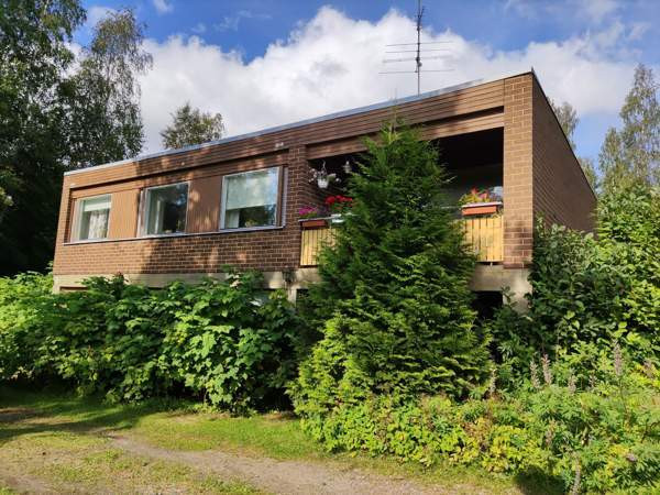 7h + s + p  Paltamo – foto 1