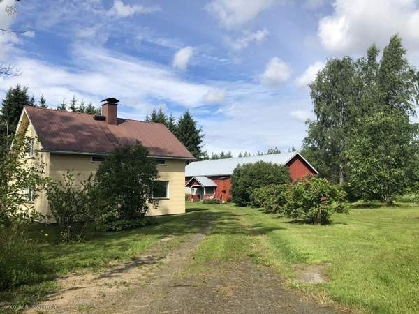 3h + s  Kitee – foto 2