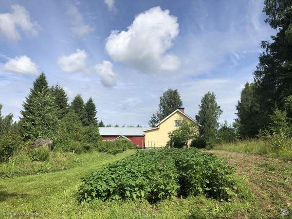 3h + s  Kitee – foto 3