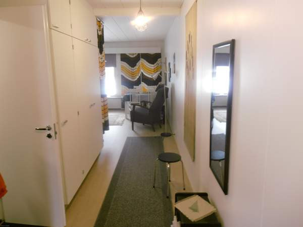 1h + kk + s  Ruovesi – foto 3