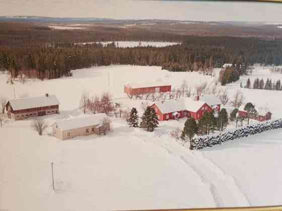 4h + k + s  Ristijärvi