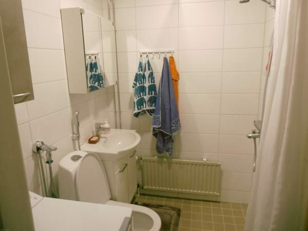 1h+kk + s  Ruovesi - valokuva 3