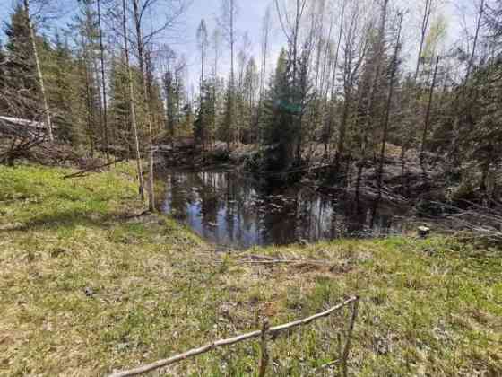 tunti Helsingistä  Loppi