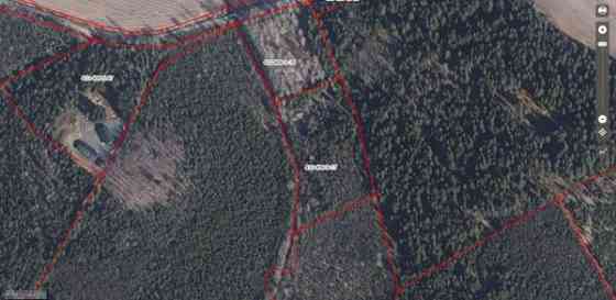 tunti Helsingistä  Loppi