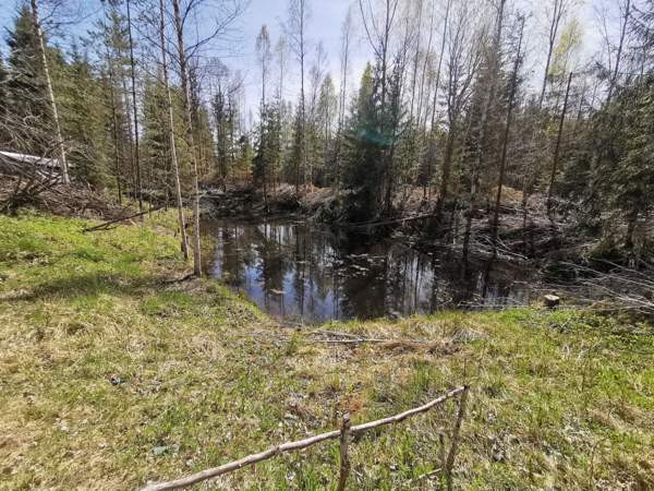 tunti Helsingistä  Loppi - valokuva 1