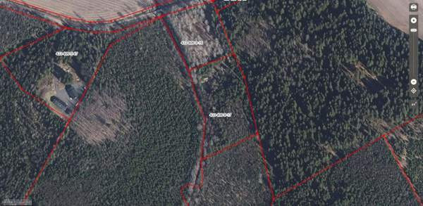 tunti Helsingistä  Loppi - valokuva 3