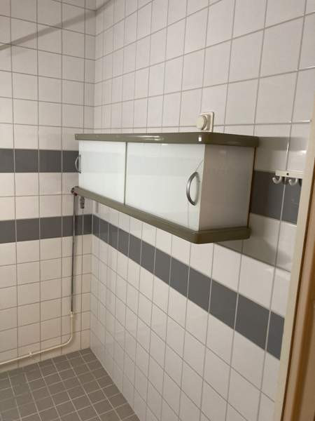 3h + p  Zaporiz'ka Oblast' – foto 5