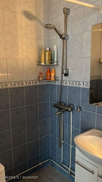 2hh + kk  Joutsa – foto 8