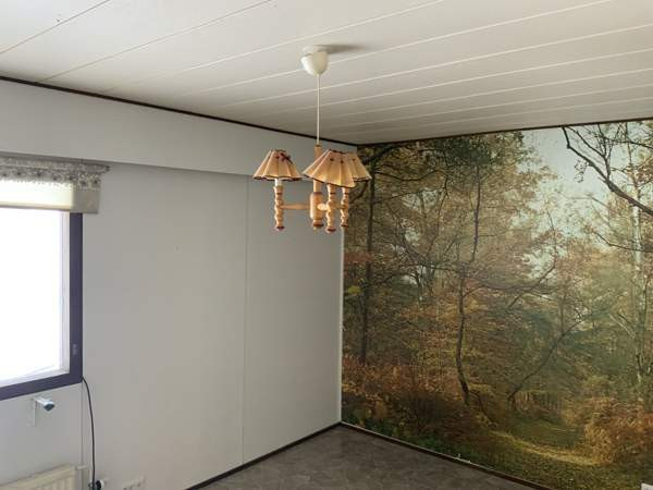 5h + s  Lieksa – foto 2