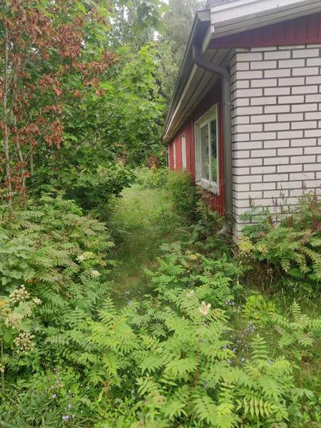 4h + k + s  Pöytyä - photo 7