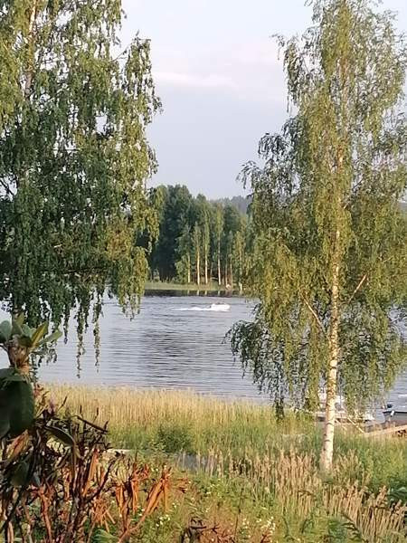 4h + s  Muurame - изображение 4