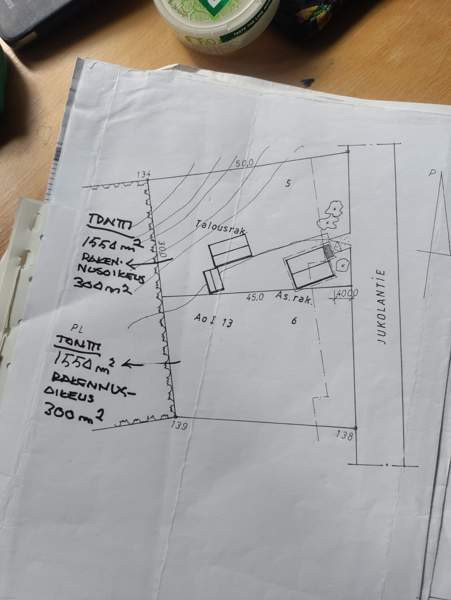 Tontti  Mikkeli - valokuva 1