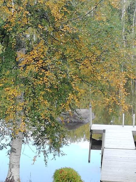 3h + s  Sarov - valokuva 3