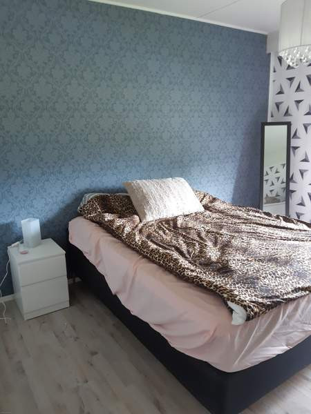 2h + k + s + ph + vh  Ulvila – foto 5