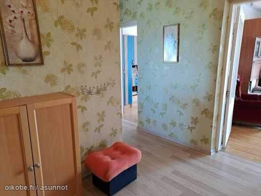 4h + k + 3p  Paernumaa - photo 7