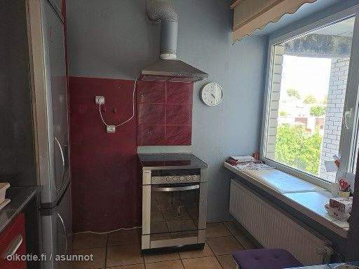 4h + k + 3p  Paernumaa - photo 6