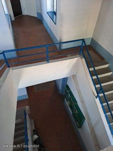 4h + k + 3p  Paernumaa - photo 2