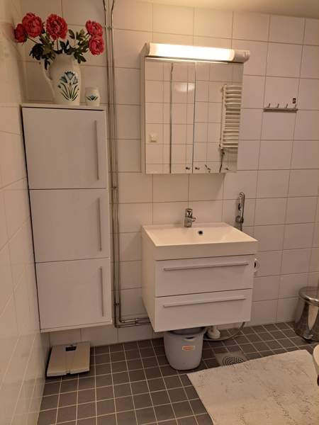 4h + p  Каяни - изображение 4