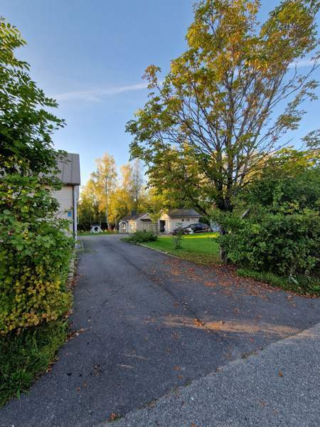 5h + k + s + p  Vihti - photo 8