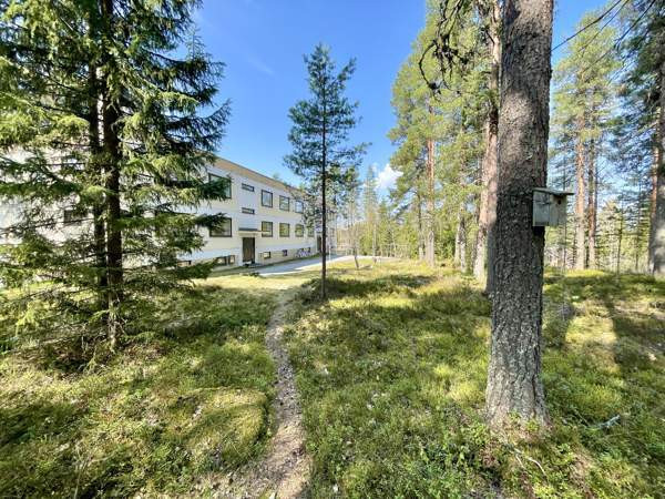 2h + k + vh  Mänttä-Vilppula - photo 1