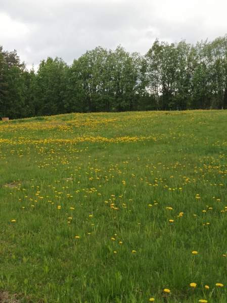 4h + s  Posio - photo 6