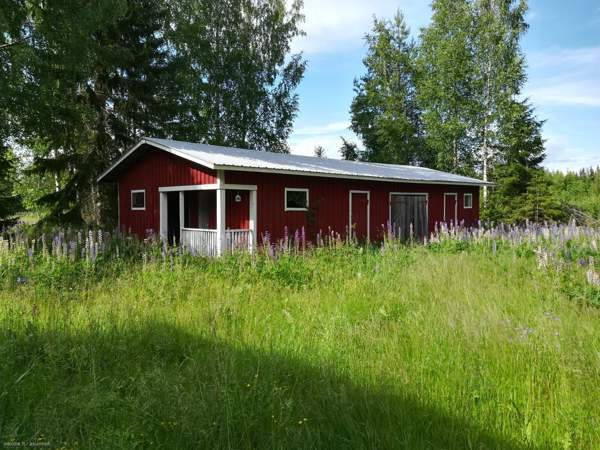 4h + s  Butterworth - valokuva 3