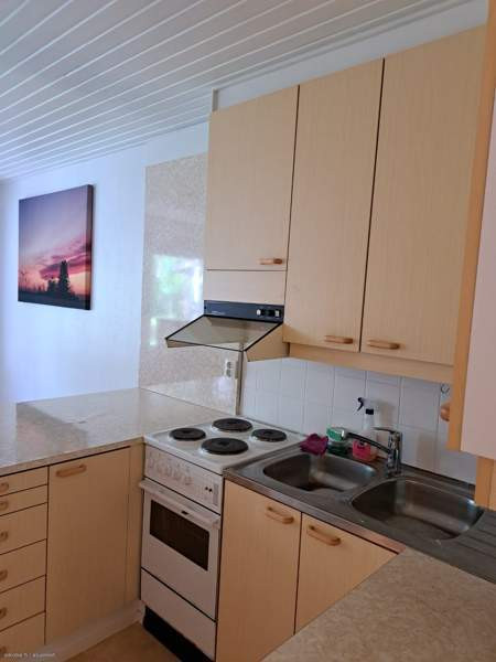 1h + avok + s  Kurikka - photo 8