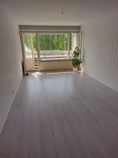 2h + k+kph+vh+p  Ilomantsi – foto 8