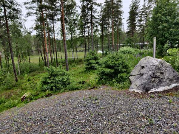 5h + s+ askarteluhuone  Syevyerodonets'k - photo 1