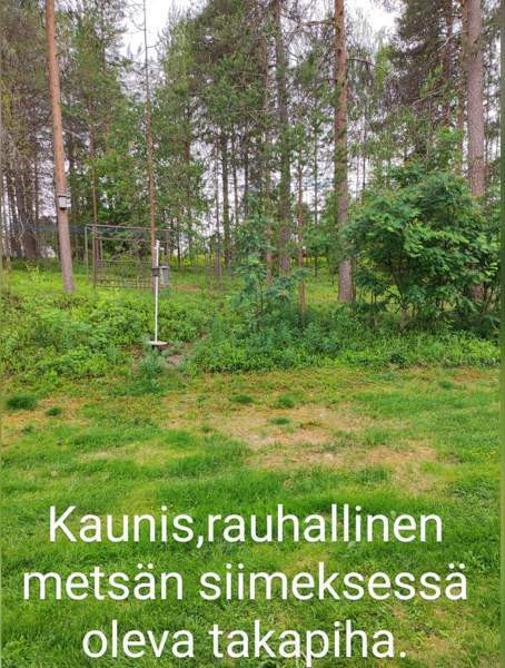 3h + k + wc + s/kph + terassi  Posio - photo 1